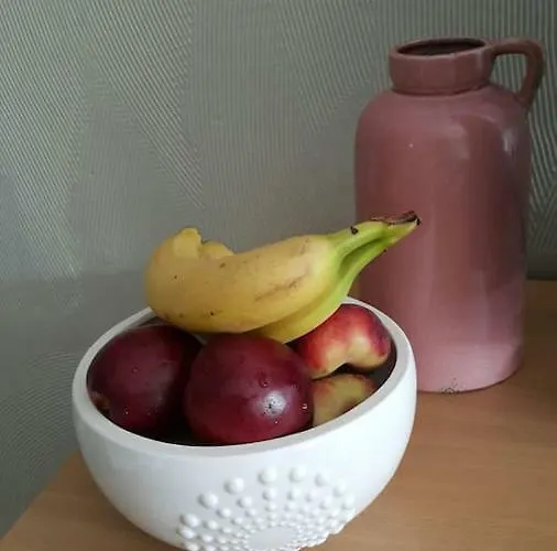 Sunny Apartment, 7 Min With Tram To The Old Town Apartment Tallinn